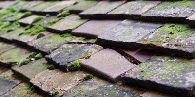 Stanway roof repair costs